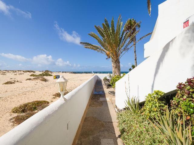 Nire Lula En La Misma Playa El Cotillo (Fuerteventura)